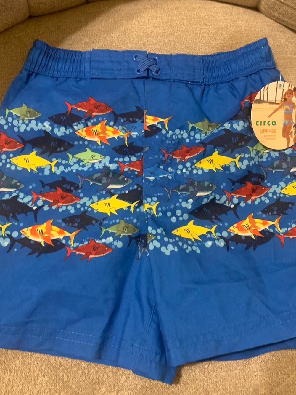 Circo Blue Boys Swim Trunks with Colorful Shark Print